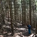 Isabelle Terra דירה