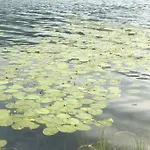 Isabelle Terra פרסגרזי