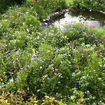 דירה Isabelle Terra