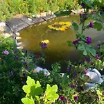 Isabelle Terra * פרסגרזי