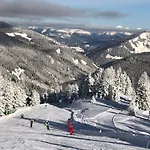 Isabelle Terra פרסגרזי