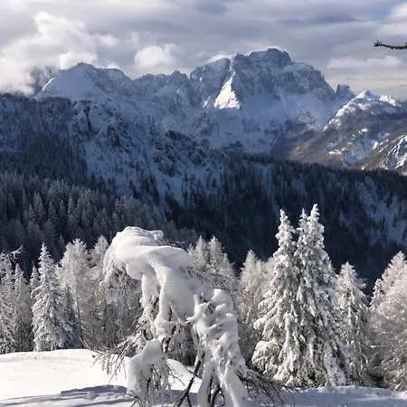 Apartment Isabelle Terra *