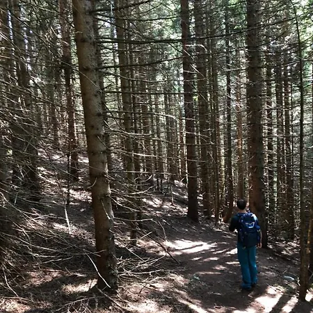 Isabelle Terra Apartment