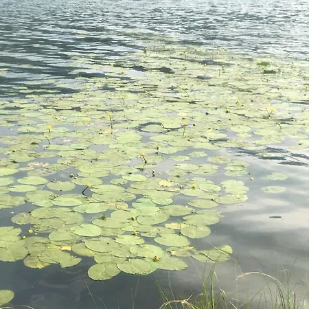 Isabelle Terra Presseggersee