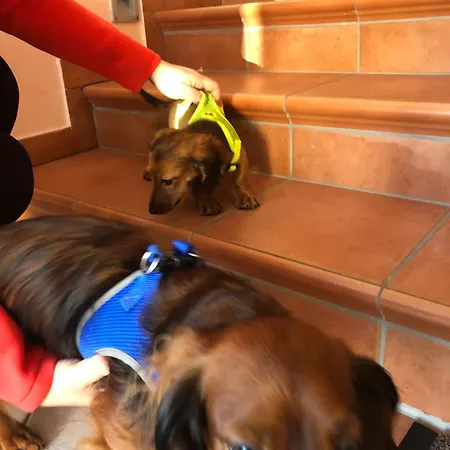 Apartment Isabelle Terra *