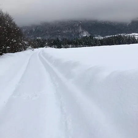 Isabelle Terra Apartment *