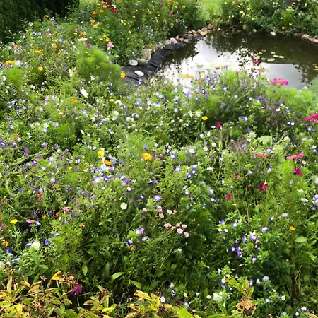 Apartment Isabelle Terra