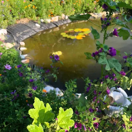 Isabelle Terra * Presseggersee