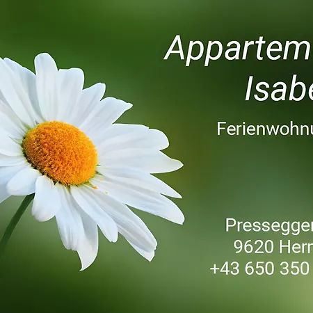 Isabelle Terra *