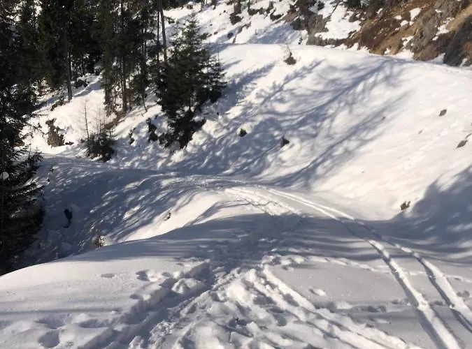 Apartamento Isabelle Terra