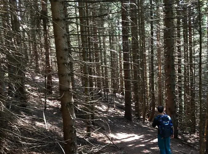 Isabelle Terra Apartamento