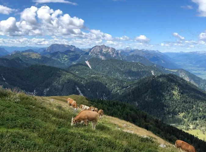 Apartamento Isabelle Terra